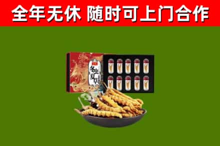 泉州烟酒回收冬虫夏草礼盒.jpg